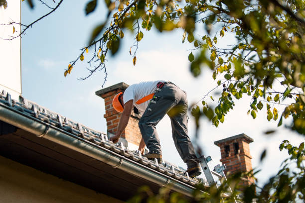 Best Roof Gutter Cleaning  in Akron, NY